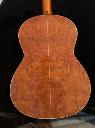 Guitarra Tanglewood TSC110 con funda