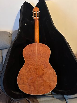 Guitarra Tanglewood TSC110 con funda