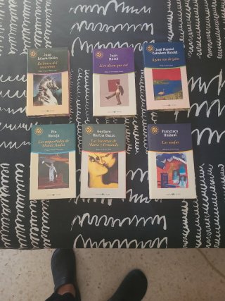 Seis libros de literatura obras en español sigloXX