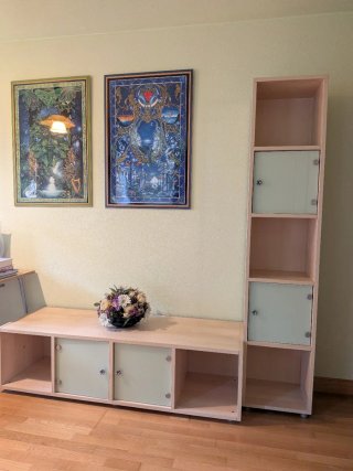 Estantería modular madera y cristal