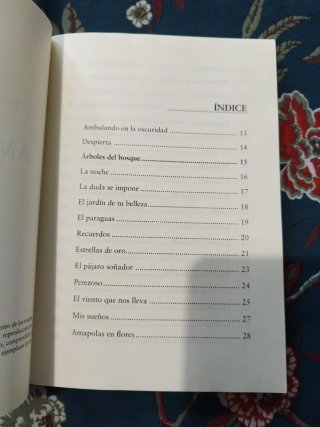 Ambulando (Spanish Edition)