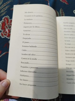 Ambulando (Spanish Edition)