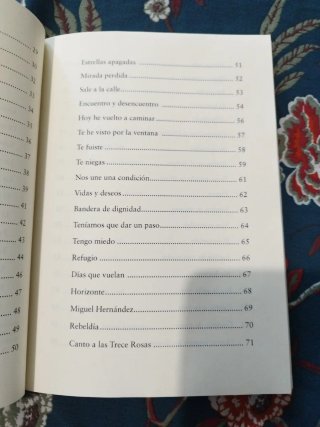 Ambulando (Spanish Edition)