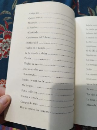 Ambulando (Spanish Edition)