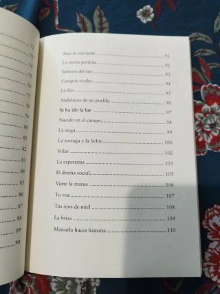 Ambulando (Spanish Edition)