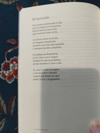 Ambulando (Spanish Edition)