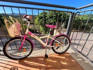 Bicicleta niña 20 pulgadas