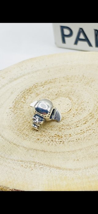 Charm Pandora Harry Potter