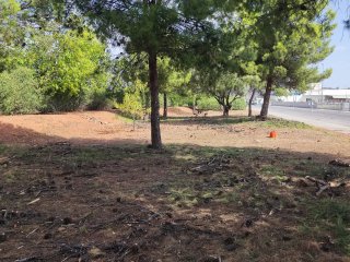 Trabajo de jardinería y limpieza de parcelas
