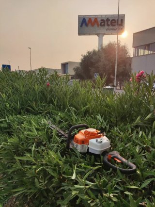 Trabajo de jardinería y limpieza de parcelas