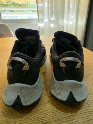 Zapatillas Nike Pegasus Trail 3
