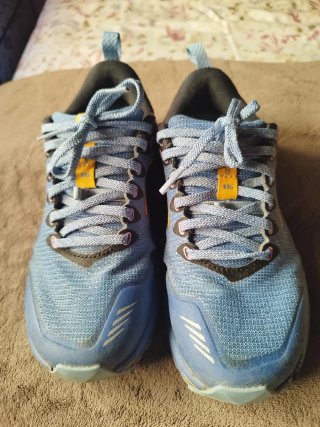 Zapatillas Brooks Cascadia 16  Talla 36.5 23 cm