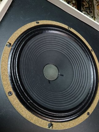 Pantalla Soundking con Celestion Creamback 16 Ohm