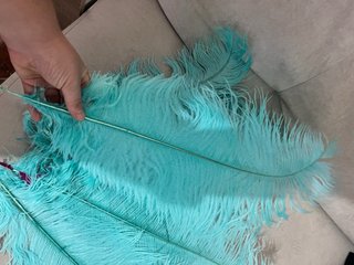 Plumas decorativas turquesa