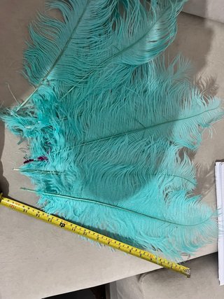 Plumas decorativas turquesa