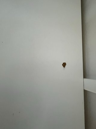 Escritorio blanco y plateado con baldas laterales