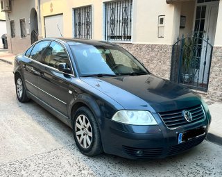 Volkswagen Passat 2002