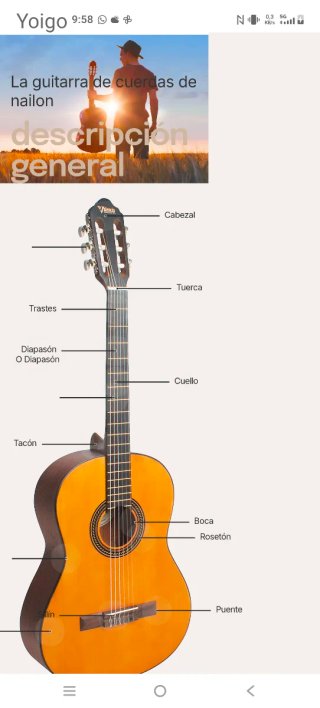 Guitarra acústica clásica madera