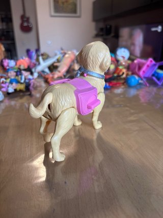 Cane Barbie Veterinaria