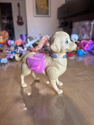 Cane Barbie Veterinaria
