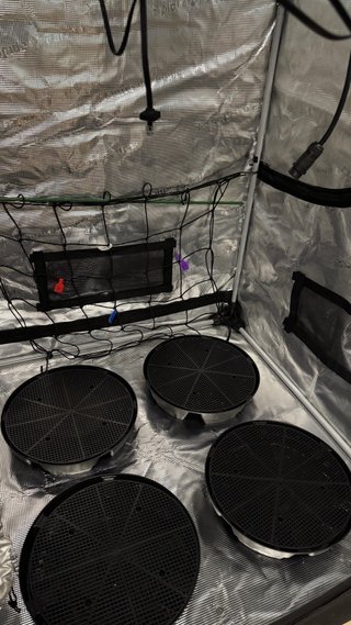 Armario de cultivo Spider Farmer nuevo