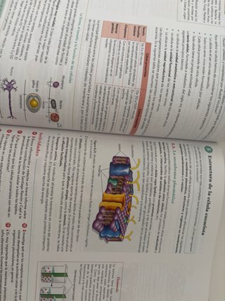 Biología, Geología y CC. Ambientales 1º Bachill...