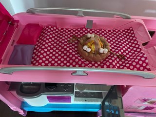 Caravana Barbie Rosa