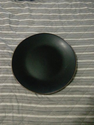 Plato de cerámica con borde de hojas verdes