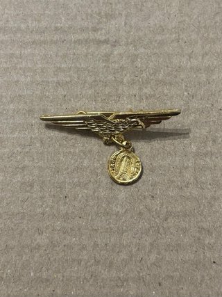 Lote UNITALSI: Pins y Placa AVO