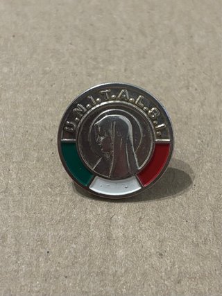 Lote UNITALSI: Pins y Placa AVO