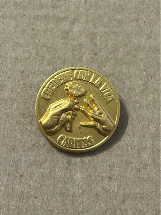 Lote UNITALSI: Pins y Placa AVO