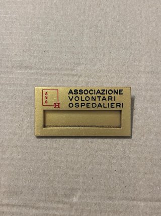 Lote UNITALSI: Pins y Placa AVO
