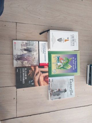 Lote 6 Libros Clásicos y Juveniles