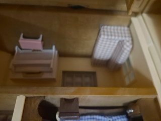 Casas Sylvanian Families con familias