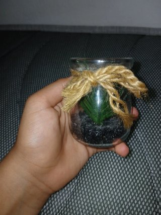 Planta decorativa en frasco