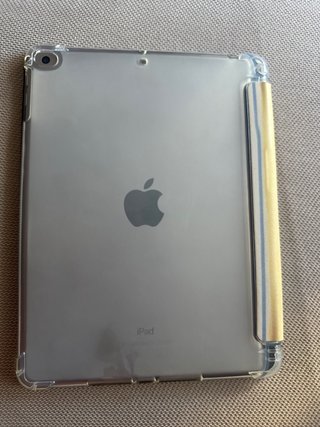 Apple iPad Plata
