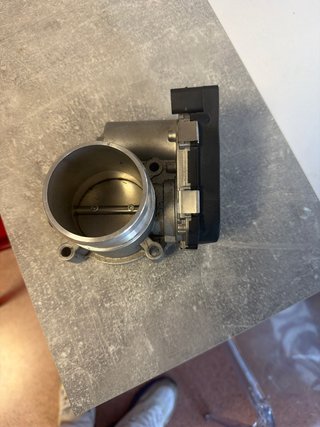 Cuerpo Mariposas Audi S3 2009