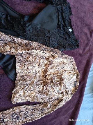 Blusas de encaje y estampado serpiente