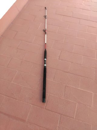 Caña dura para pesca de pez gordo