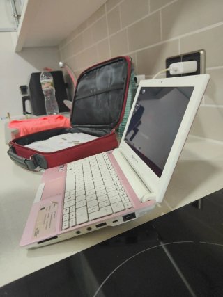 Packard Bell dot s Netbook 10.1 Rosa