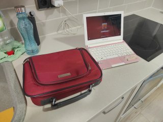 Packard Bell dot s Netbook 10.1 Rosa