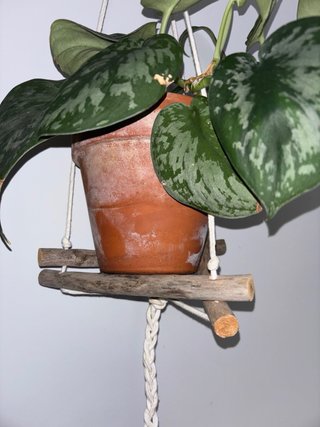 Colgante Boho para Planta - Cuerda y Madera