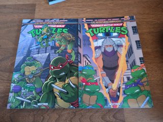 Tortugas ninja aventuras animadas 3 y 4