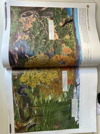Geography & History 1º ESO. Student's book GENiOX