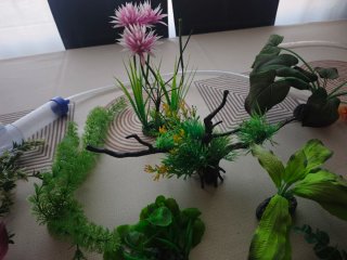 Lote accesorios acuario