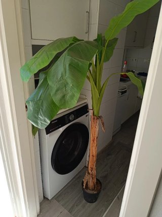 Planta artificial decorativa