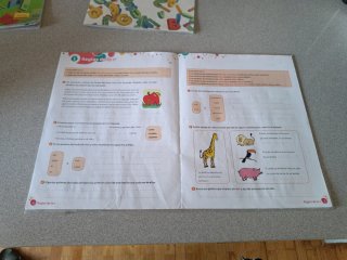 Cuaderno 12 de ortografía. Primaria
