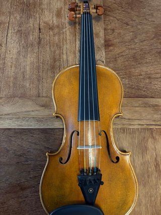 Violín 5 cuerdas / Quintón