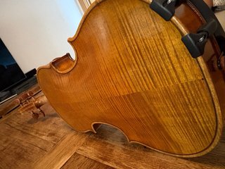 Violín 5 cuerdas / Quintón