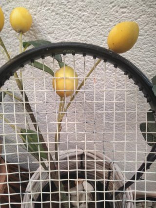 Raqueta de tenis Head Leader Pro